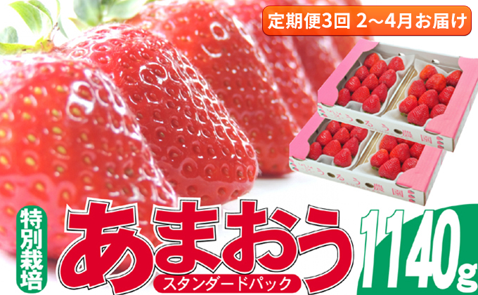 定期便 3回 いちご 発送時期 2025年2月～4月 うるう農園のあまおう スタンダード4パック 約1.14kg 配送不可 離島