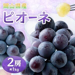岡山県産ピオーネ　約1kg(約500g×2房)【配送不可地域：離島】【1614365】