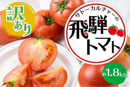 《2026年先行予約》【訳あり】飛騨トマト　約1.8kg 