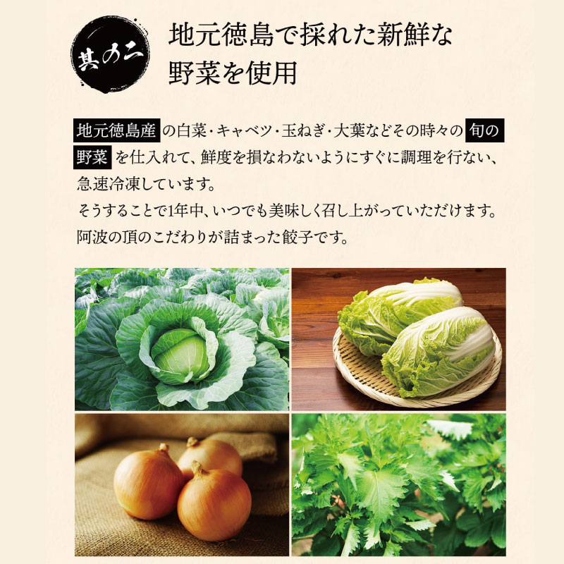 餃子 阿波尾鶏 48個 ぎょうざ ギョーザ 鶏肉 焼き餃子 野菜 餡 キャベツ 白菜 弁当 中華 冷凍 冷凍餃子 お酒 ビール 居酒屋 徳島県 阿波の頂