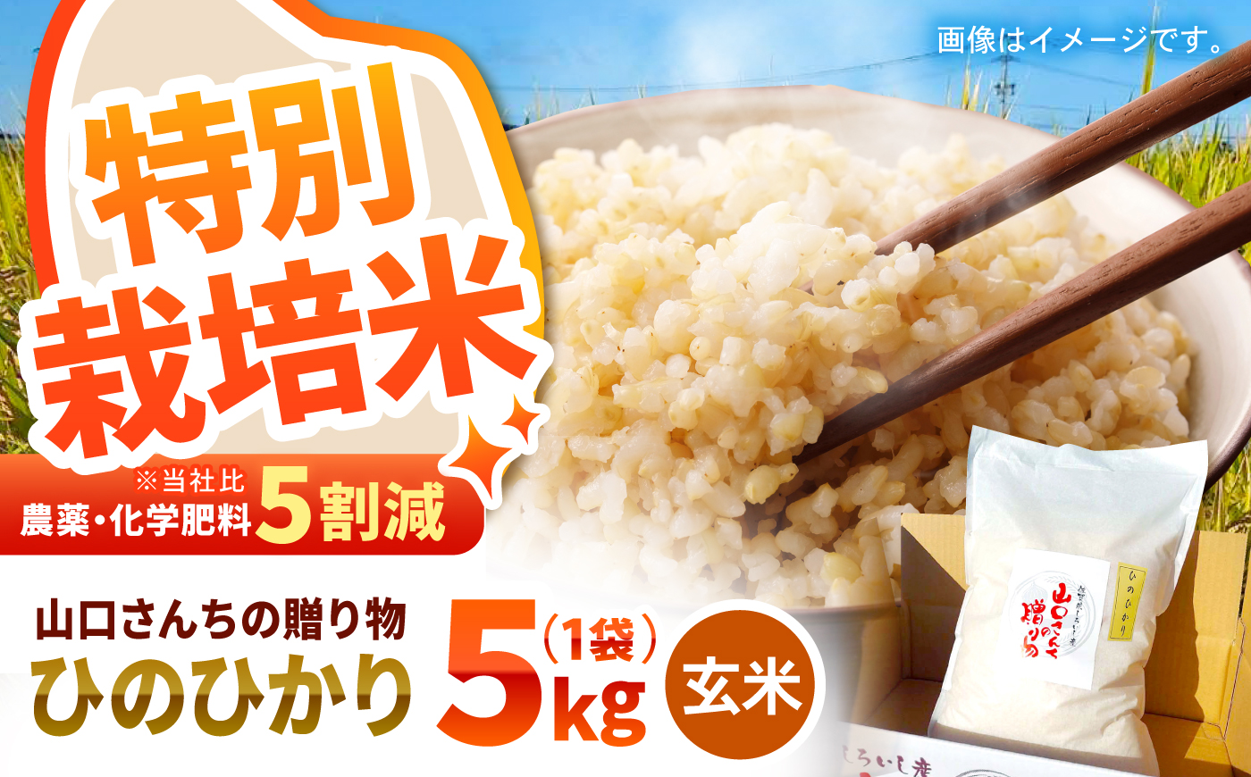 【2026年10月～発送】令和8年産 特別栽培米 ひのひかり（玄米） 5kg 【y'scompany】 [IAS030]