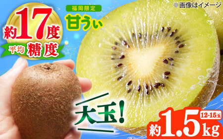 【2025年10月下旬より順次発送】福岡産ブランドキウイ「甘うぃ」約1.5kg(12-15玉) 吉富町/南国フルーツ株式会社[BGAG017]