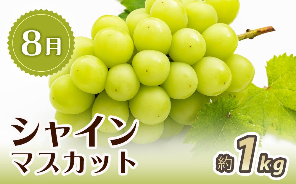 【7・8・10月 全3回】紀州和歌山産旬のフルーツセット（桃・シャイン・ひらたねなし柿）定期便 【魚鶴商店】【UT66】