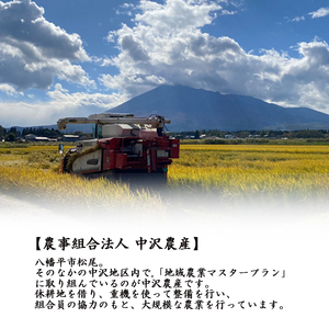 新米 先行予約 【令和8年産】 あきたこまち 玄米 10kg （5kg×2袋）《2026年11月中旬より順次発送開始予定》 ／ げんまい 岩手県産 中沢農産