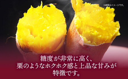 さつまいも（金時）5kg  野菜 やさい さつまいも ５kg 焼き芋 /愛たい菜[AGAP012]
