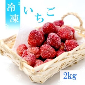 いちご 白木のいちご 旬のおいしさそのまま 冷凍いちご (品種混合) 2kg イチゴ 苺 果物 デザート ※配送不可：沖縄・離島【発送時期：2026年4月上旬】