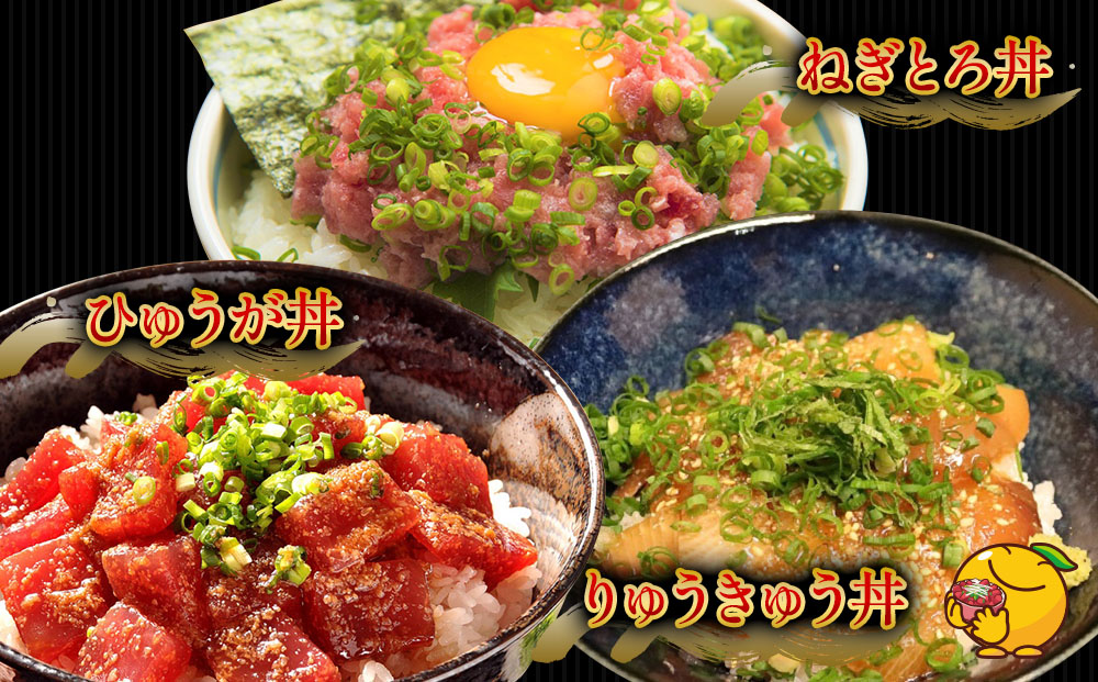 どんぶり3種セット ぶりのりゅうきゅう丼・ひゅうが丼・ねぎとろセット ねぎとろ 鮪丼 まぐろ 大分県産 九州産 津久見市 熨斗対応【tsu000303】