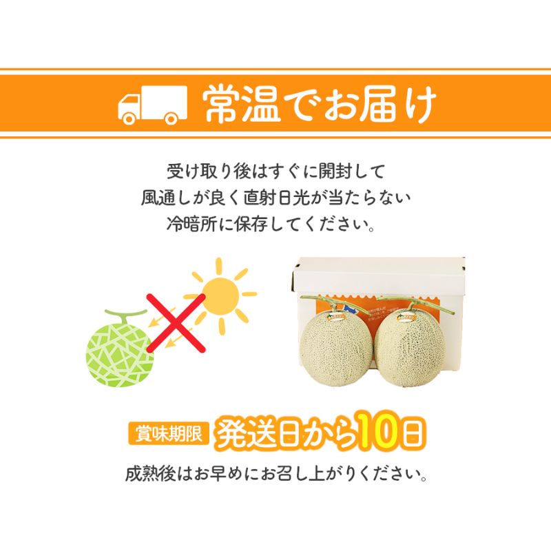 【2026年夏発送】北海道 富良野 メロン 2Lサイズ 1.5kg以上×1玉 フルーツ 果物