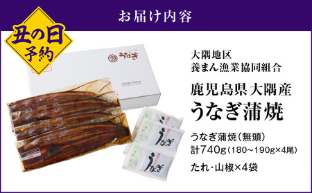【土用の丑の日予約】【数量限定】鹿児島県大隅産うなぎ蒲焼４尾（740g）【2025年7月19日までに順次発送】