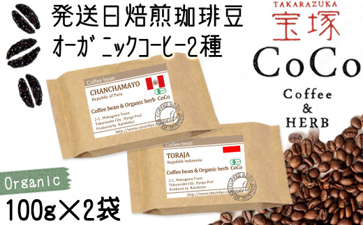 【宝塚】オーガニック珈琲 当日自家焙煎珈琲100g×2種miniサイズ【粉】