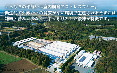 457 たまご 48個 8パック 定期便 12カ月 計576個 小分け 新鮮 赤 玉子 卵 タマゴ くらもちの農場 平飼い