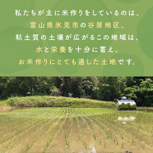 【3ヶ月定期便】コシヒカリ5kg 無洗米 富山県氷見産 ＜2025年10月以降発送＞ 富山県 氷見市 米 コシヒカリ 定期便