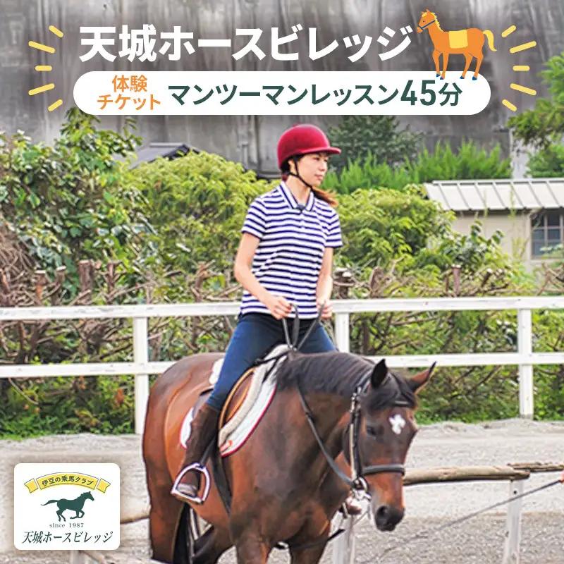 施設利用券 天城ホースビレッジ 乗馬体験 45分 施設利用券