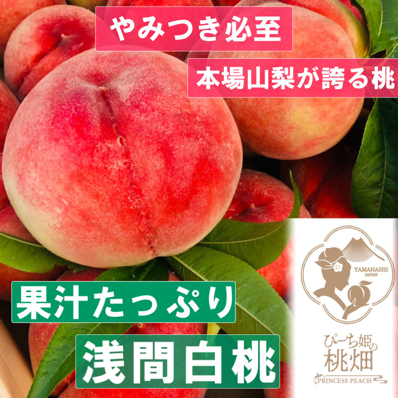 
            【果汁たっぷり浅間白桃ブランド】当園ダントツ人気No.1の品種 約2kg【2025年発送】（PMK）D4-108 【桃 もも モモ 令和7年発送 期間限定 山梨県産 甲州市 フルーツ 果物】
          