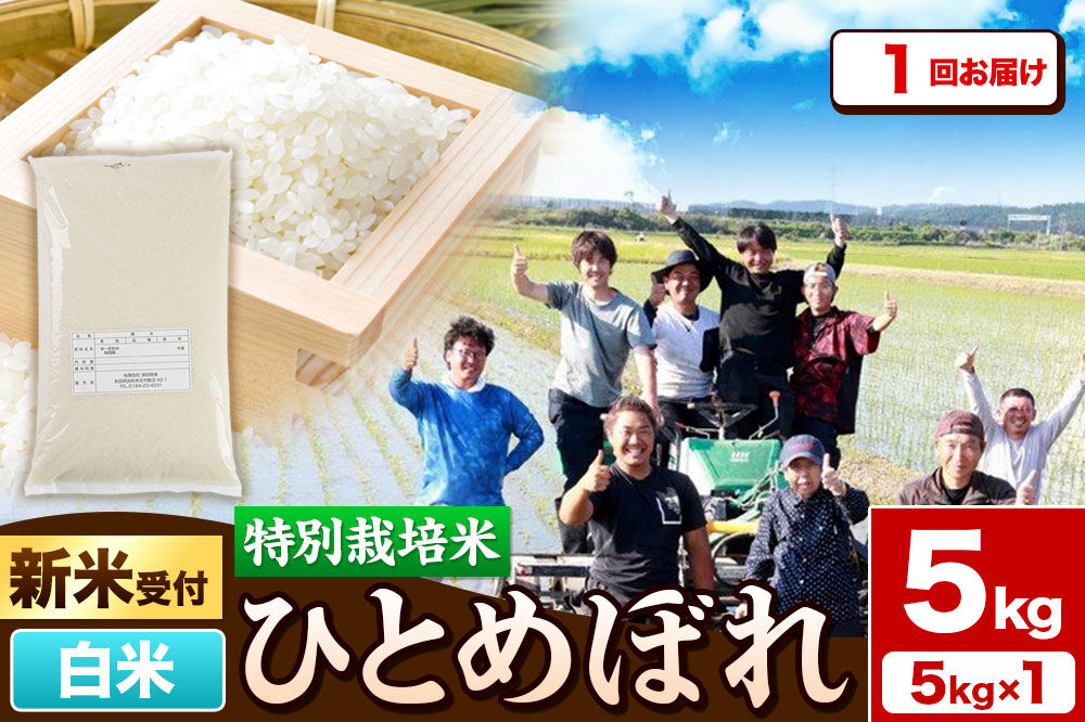 《新米予約》令和8年産【白米】特別栽培米 ひとめぼれ 5kg 秋田県産【収穫次第2026年10月頃出荷予定】 [ひとめぼれ 米 お米 白米 精米 特別栽培米 ブランド米 食卓 秋田県産 秋田県 由利本荘市]