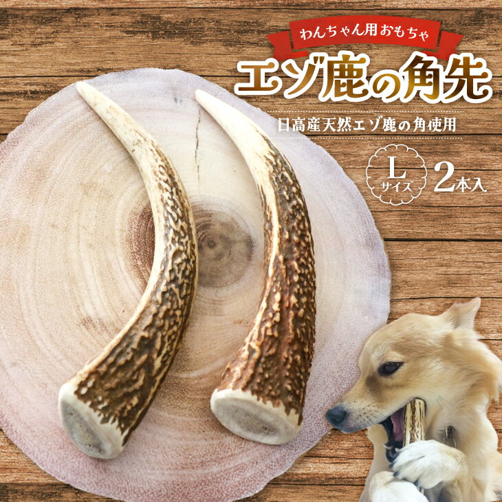 【ふるさと納税】エゾ鹿の角先 Lサイズ×2本セット(1本物)[54-1365] 北海道 浦河 ふるさと納税 鹿の角 鹿 天然 犬用 わんちゃん おもちゃ 玩具 デンタルケア 送料無料