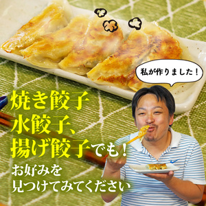 餃子 にんにく餃子 生餃子 70個 冷凍餃子