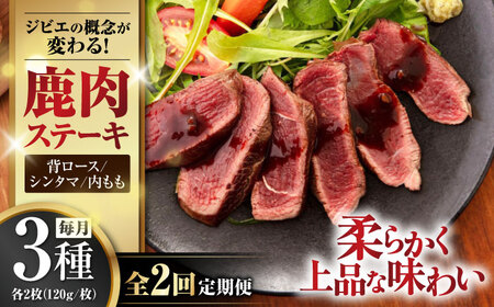 【全2回定期便】鹿肉 ステーキ3種セット（背ロース120g×2枚・シンタマ120g×2枚・内もも120g×2枚）《喜茂別町》【EBIJIN】肉 セット  肉 セット  肉 セット  肉 セット 肉 セット [AJAO022] 88000 88000円
