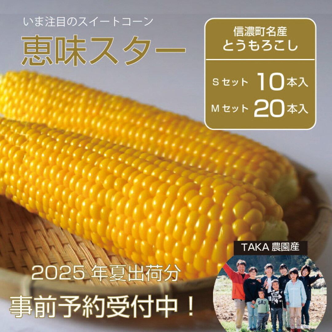 【ふるさと納税】TAKA農園『恵味（めぐみ）スター』2Lサイズ（1本450g相当）10本セット/ 20本セット2025年夏の予約受付開始！ ｜長野県信濃町名産とうもろこし／スイートコーンの人気品種を早期予約受付中！ 2025年7月15～25日の限定出荷予定