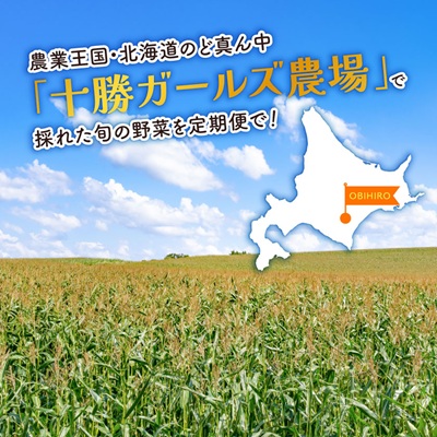 【発送月固定定期便】直送!【北海道の定番便】十勝ガールズ農場の野菜セレクション全3回【配送不可地域：離島】