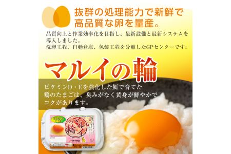 i020 鹿児島県産の赤たまご!マルイの輪(たまご)×36個(6個入り×6パック)養鶏の専門農協で一貫して生産された国産生玉子!【マルイ食品】