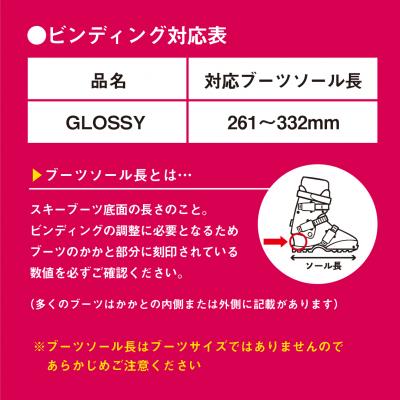 ふるさと納税 飯山市 【大人用・142cm】 スワロースキー GLOSSY-TI【限定デザイン】 |  | 03