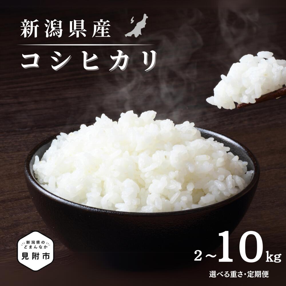 【ふるさと納税】米 お米 精米 白米 無洗米 コシヒカリ こしひかり 令和6年 先行予約 新潟県 2kg 5kg 7kg 10kg 選べる 〜 こめ コメ 送料無料 見附 見附市