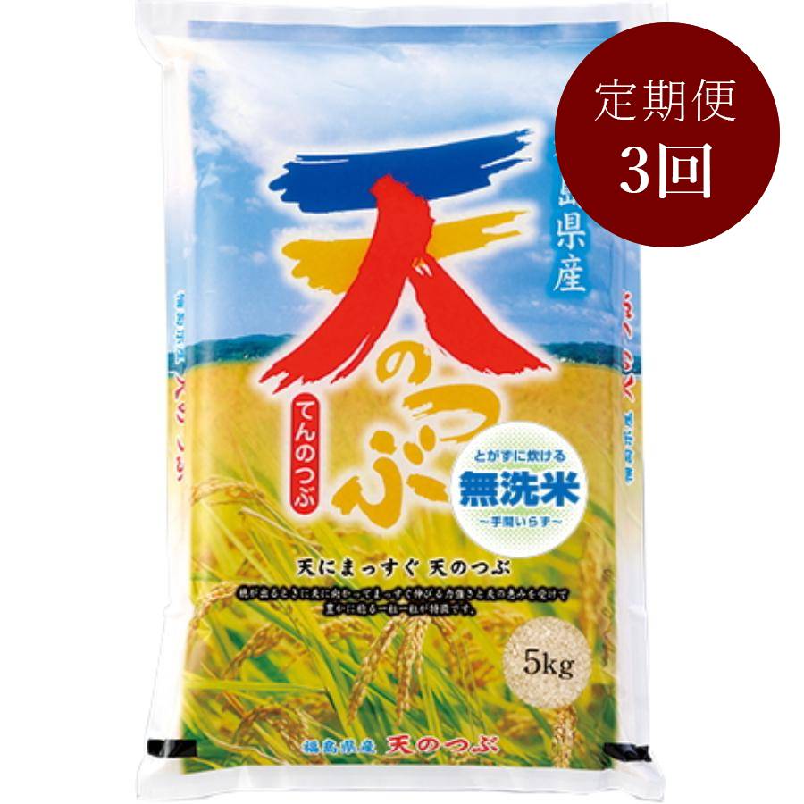無洗米 天のつぶ 5kg×1 定期便3回