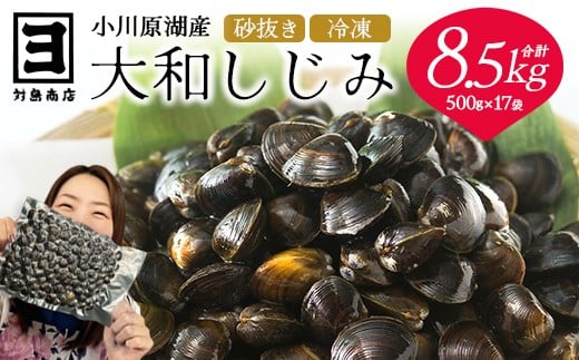 
《レビューキャンペーン》砂抜き済みで手間いらず！冷凍・小川原湖産大和しじみ8.5kg（500g×17袋）　【02408-0031】
