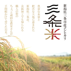 新潟県三条市産 コシヒカリ 三条米 5kg ボウル・ザルセット 令和7年産 三条のお米 美味しいコシヒカリ 新潟のコシヒカリ 米 お米 精米 白米 米研ぎセット 新潟米 新潟コシヒカリ【014S066