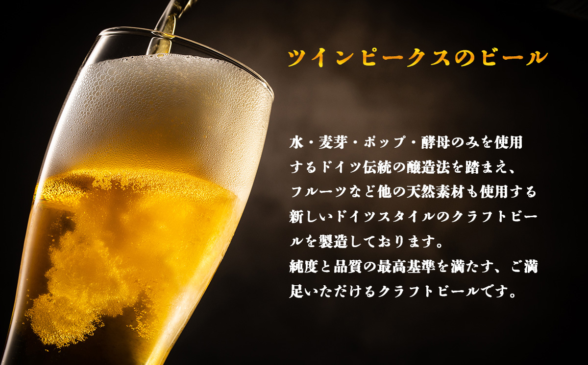 Twin Peaks Mountain Brewingのクラフトビールおまかせ 6本セット【 つくば市 ふるさと納税 クラフトビール ビール お酒 酒 麦酒 地ビール ドイツ ドイツビール 飲み比べ 