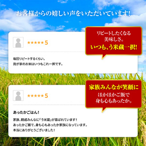 北海道う米蔵5kg【290026】