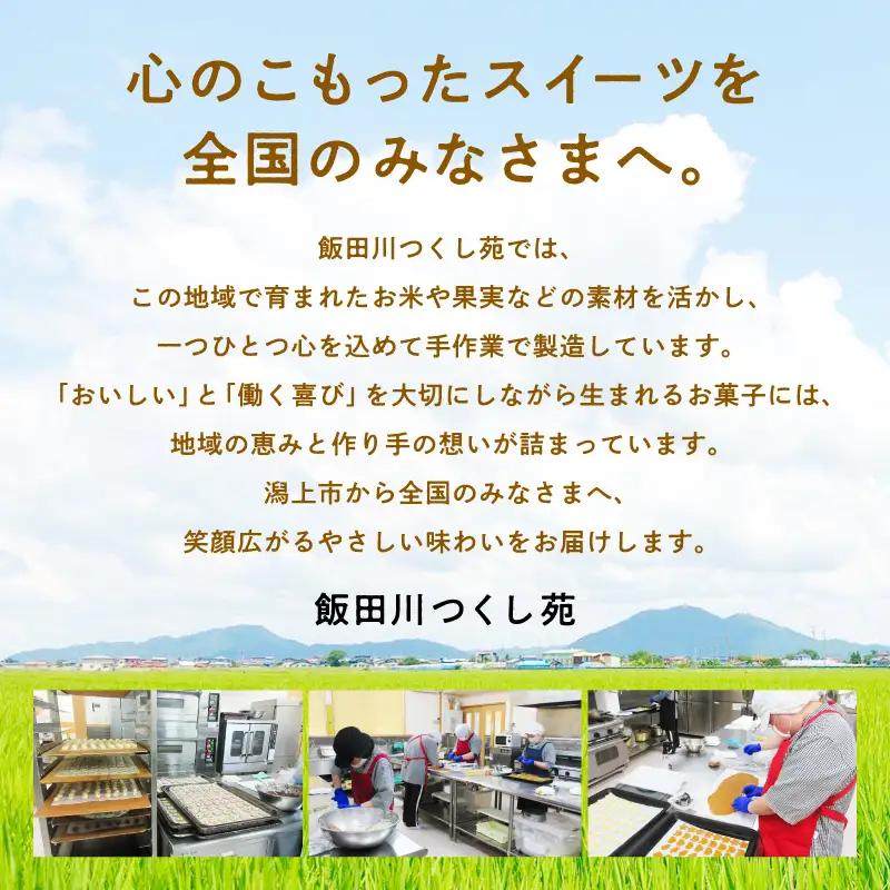 かぼちゃのベイクドチーズケーキ 3個セット【飯田川つくし苑】