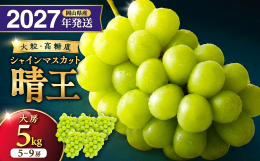 【2027年発送分・先行予約開始！】岡山県産シャインマスカット「晴王」　秀品　大房　（約5kg・5～9房程度）（令和9年8月中旬以降発送）
