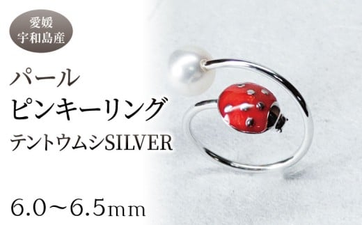 SV パール ピンキーリング テントウムシ 6.0-6.5mm 暁工房 リング 指輪 真珠 シルバー アクセサリー アコヤ真珠 本真珠 ファッション カジュアル お祝い ギフト プレゼント 贈り物 贈答 人気 特産品 国産 愛媛 宇和島 A040-002022