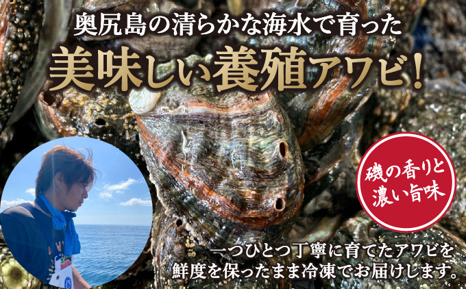奥尻島産 冷凍 養殖アワビ (3個入り) 1個 約70mm 北海道 奥尻町