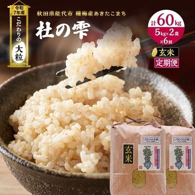 ふるさと納税 能代市 先行予約 新米 玄米 定期便6ヶ月 あきたこまち 10kg 計60kg [No.5335-0425]