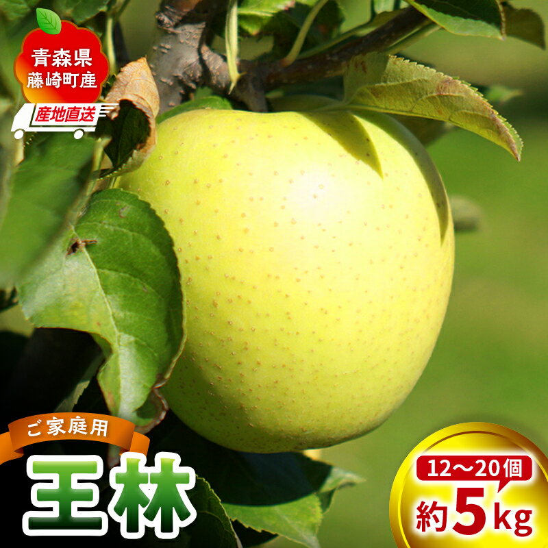 【ふるさと納税】＜産地直送＞ 王林 りんご 家庭用 約5kg（12〜20個） リンゴ 林檎 果物 フルーツ F41-0078