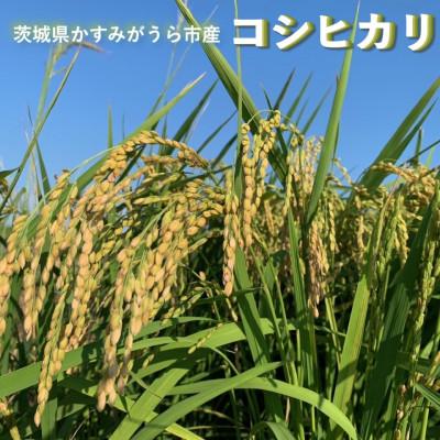 ふるさと納税 かすみがうら市 【毎月定期便】茨城県かすみがうら産　精米　コシヒカリ10kg全6回 |  | 01