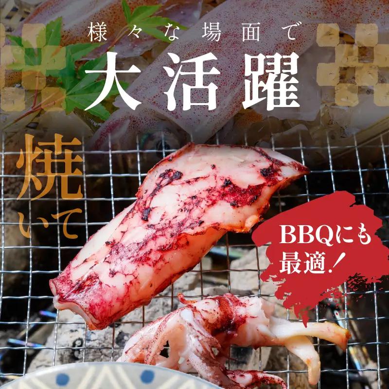 白イカケンサキ正味2kg しろいか