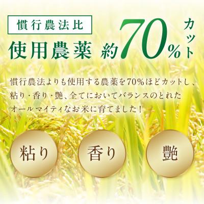 ふるさと納税 京丹後市 京丹後米　特別栽培米コシヒカリ 5kg |  | 01