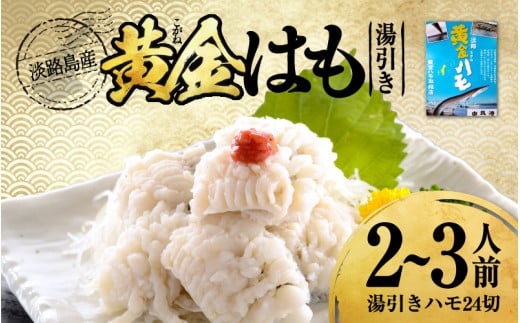 【先行予約】淡路島黄金はも湯引き 2～3人前　酢味噌・梅肉付き※2026年5月上旬より順次発送予定 / 国産 淡路島 ハモ 鱧 湯引き 天ぷら しゃぶしゃぶ 鍋 骨切り済