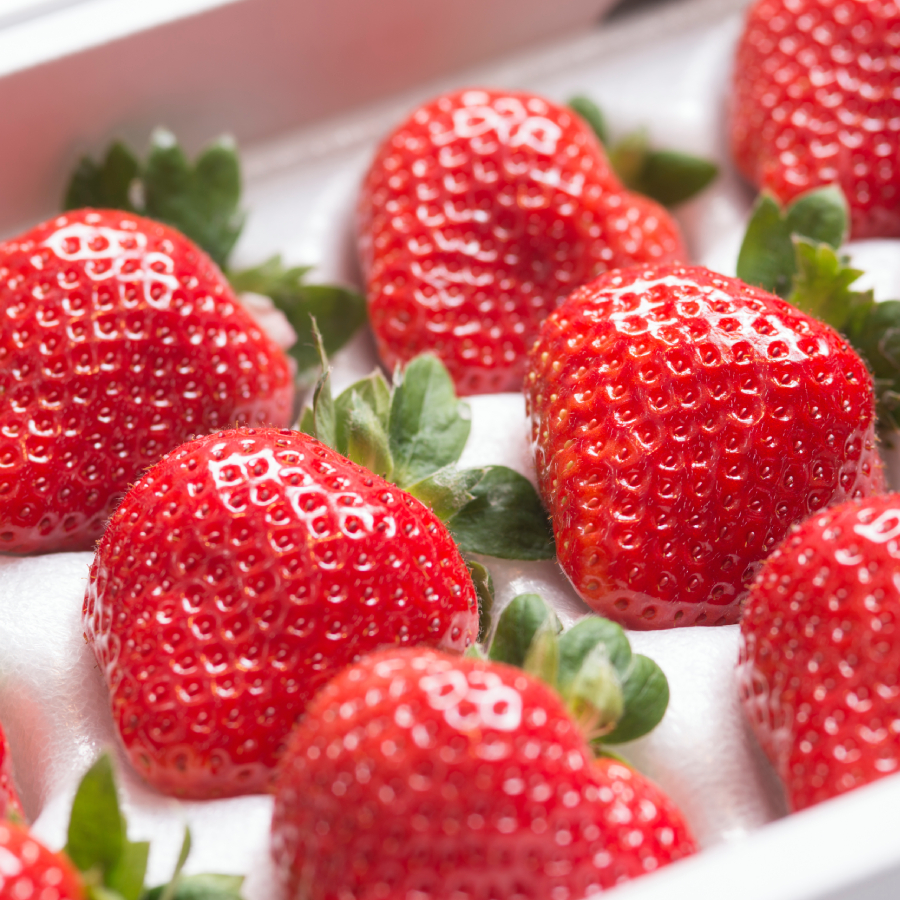 『岩田屋本店・南国フルーツ』あまおうギフト箱（24-30粒）