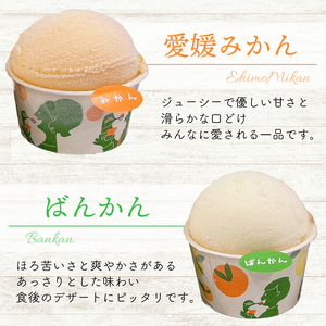 柑橘アイス 4種 夢オレンジ 河内晩柑 愛媛みかん 不知火 カップアイス 12個 各65ml みかん アイス 柑橘アイス 夢オレンジアイス 愛媛みかんアイス 河内晩柑アイス 不知火アイス 美味しいシャ