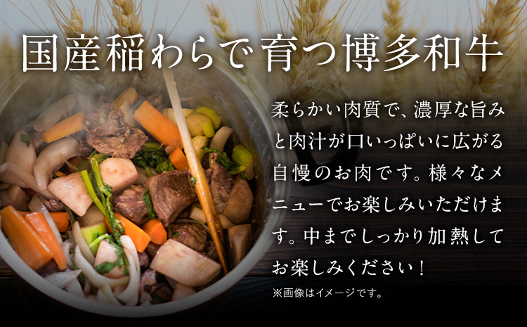 博多和牛モモブロック 約500g～600g 株式会社MEAT PLUS《30日以内に出荷予定(土日祝除く)》福岡県 鞍手郡 小竹町 博多和牛 和牛 牛肉 モモ モモ肉 ブロック肉---sc_fmphk