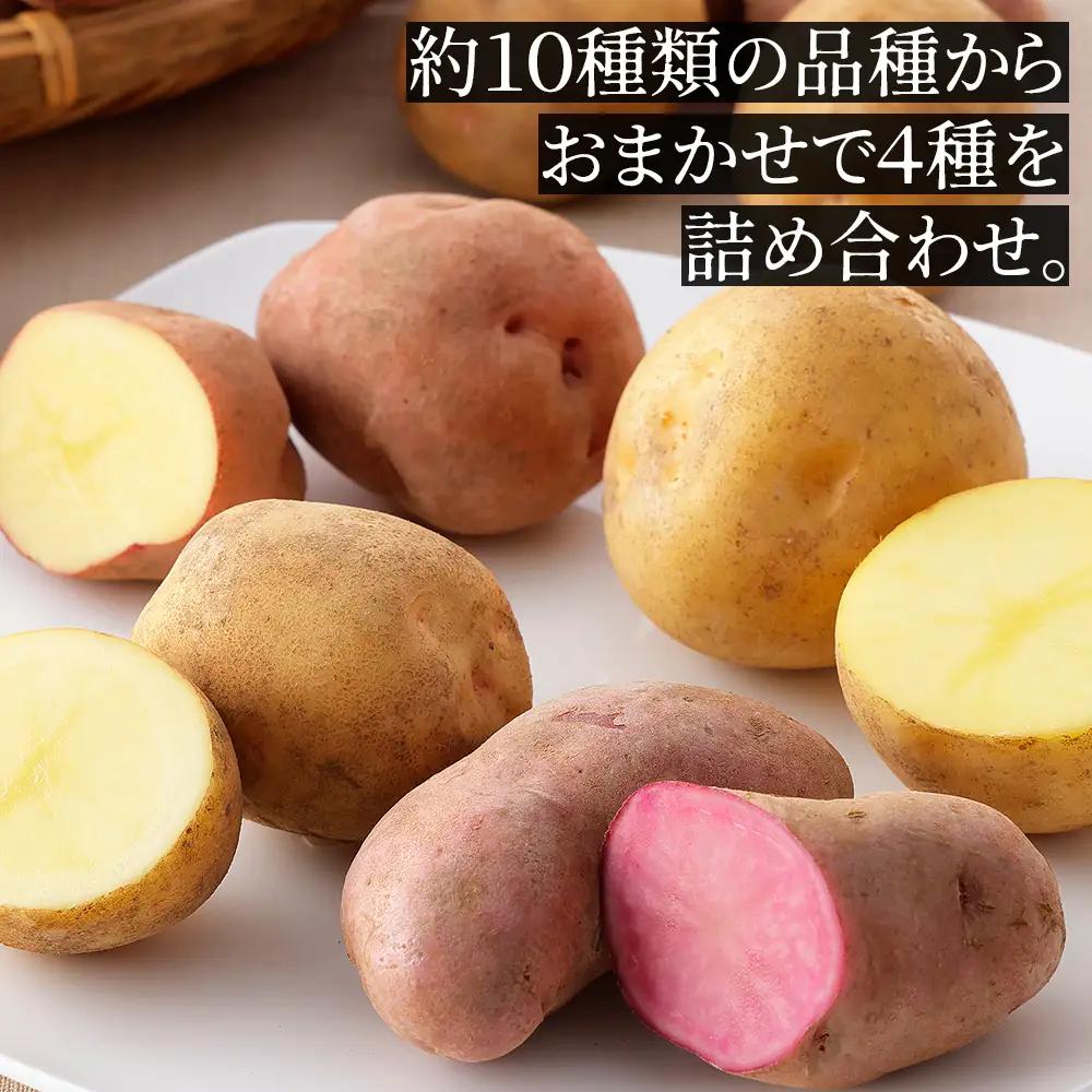 2026年産 北海道産 おまかせ じゃがいも 4種セット 計10kg（2.5kg×4種） 北海道 上士幌町 加藤農場 野菜 ジャガイモ 馬鈴薯 産地直送 ◆2026年12月配送予定