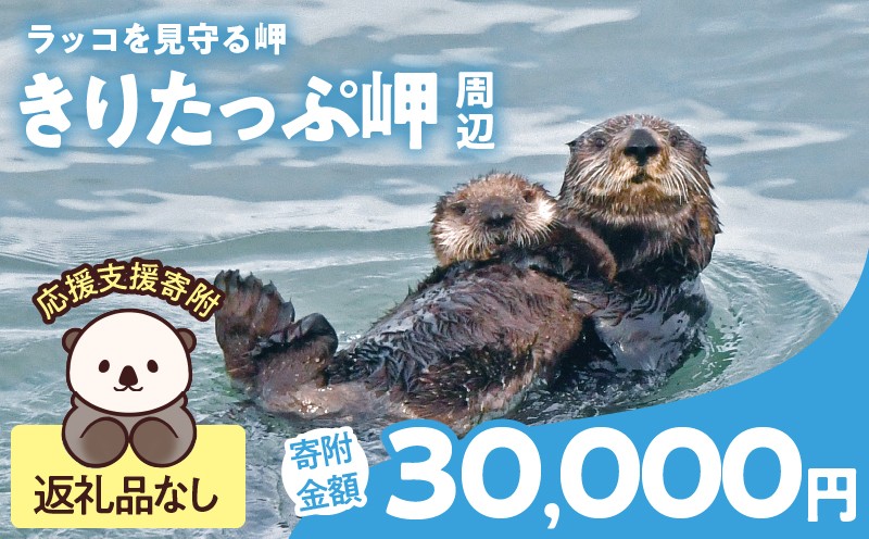 
            ラッコを見守る岬「きりたっぷ岬」周辺の環境整備　30000円分 返礼品なし_H0028-013
          