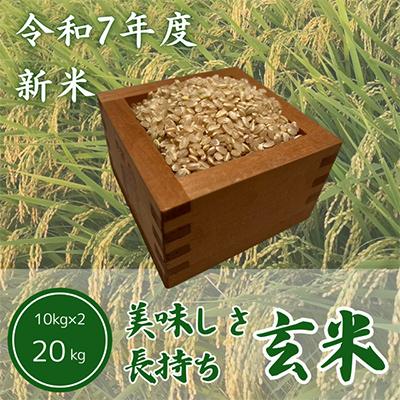 ふるさと納税 ひたちなか市 令和7年度　ひたちなか市産コシヒカリ玄米20kg(10kg×2袋) |  | 01