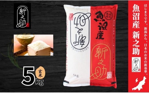 中魚沼産 新之助 玄米 5kg(5kg×1袋) 令和7年産 | しんのすけ 新之助 米 お米 新潟 魚沼 コメ おこめ 玄米 ご飯 ごはん ブランド米 新潟県 津南町 有限会社イタバ