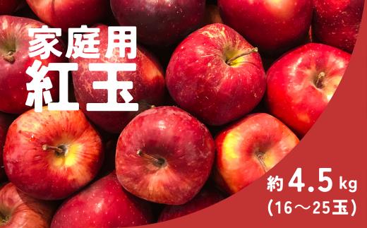 KR11-25A りんご 紅玉 家庭用 約4.5kg（16～25玉） / 9月下旬頃～配送予定 // 長野県 南信州 松川町産 リンゴ 林檎 訳あり 自家用 こうぎょく 農家直送 農家支援 産地直送